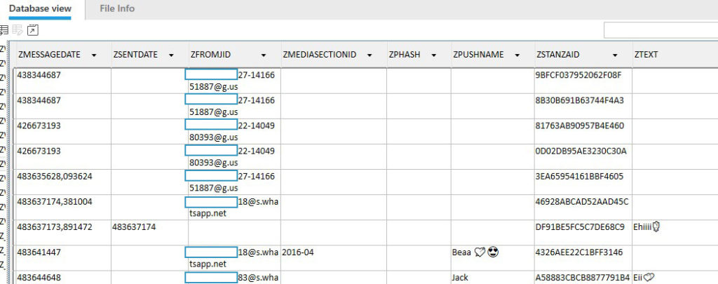 WhatsApp Forensics
