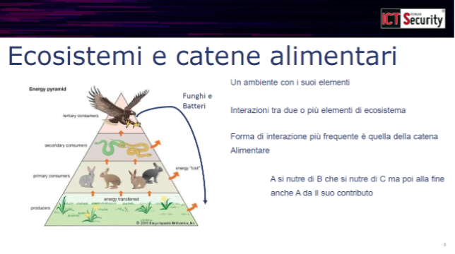 Gli ecosistemi digitali sotto attacco: Supply Chain Security, NIS2 e l'importanza degli SBOM