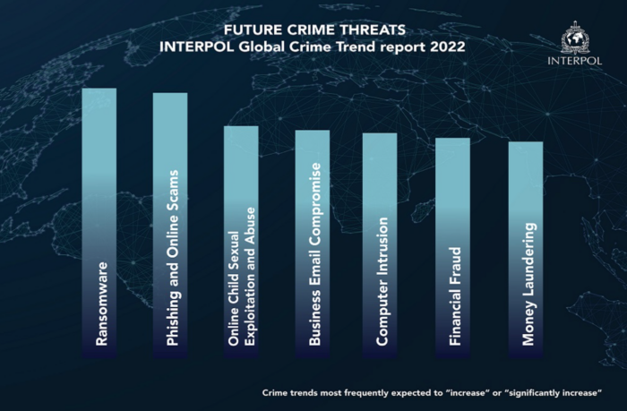 L’Interpol e la lotta al cybercrime nel Metaverso