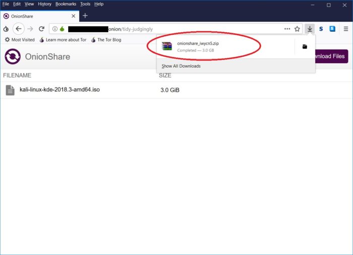 Onionshare, trasferire i file in modo anonimo e sicuro sfruttando la rete TOR