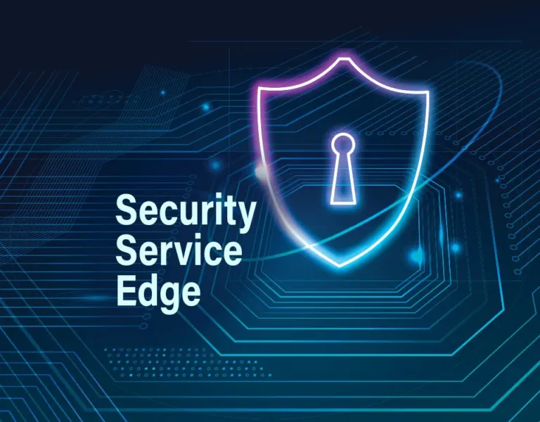 Security Service Edge