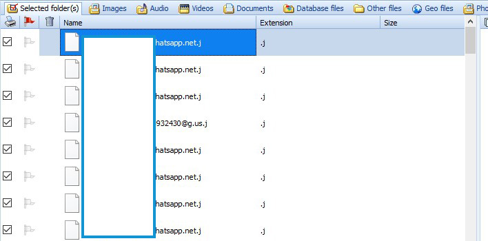 WhatsApp Forensics