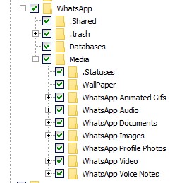 WhatsApp Forensics