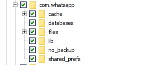 WhatsApp Forensics