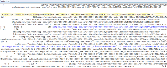 WhatsApp Web Forensics: Analisi Forense Avanzata