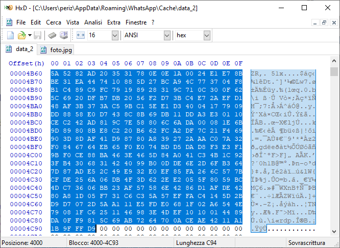 WhatsApp Web Forensics: Analisi Forense Avanzata