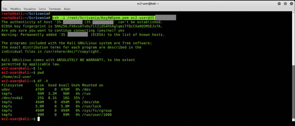 Penetration Testing tra le nuvole con Amazon Web Service e Kali Linux
