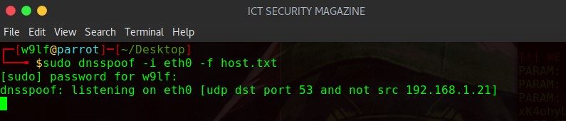 DOMAIN SPOOFING