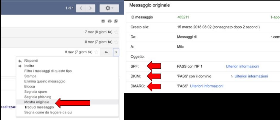 DOMAIN SPOOFING
