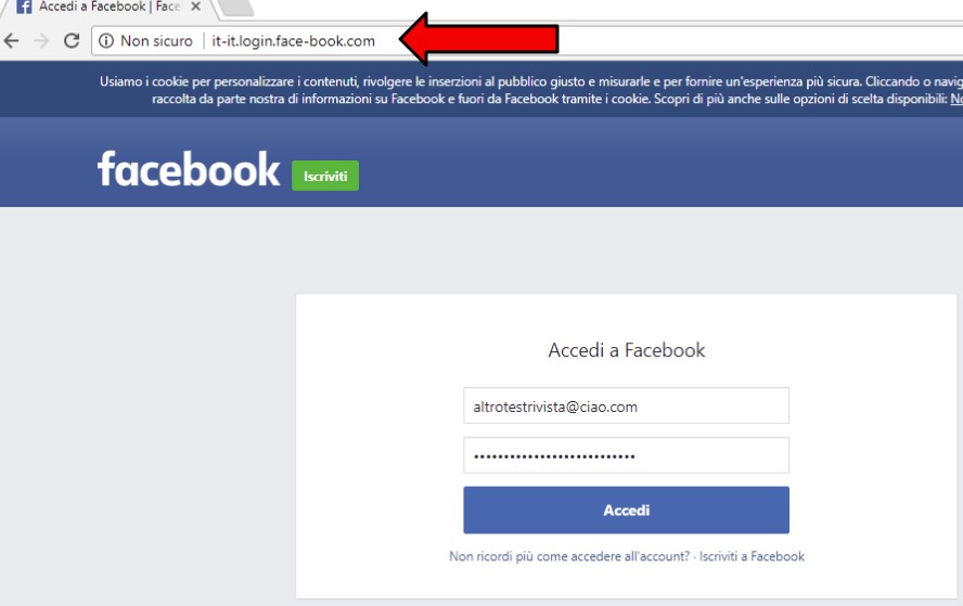 DOMAIN SPOOFING