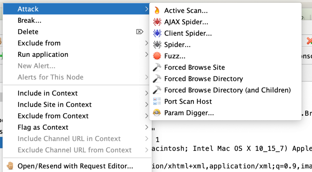 OWASP Zed Attack Proxy (ZAP) - ZAP Attack security misconfiguration