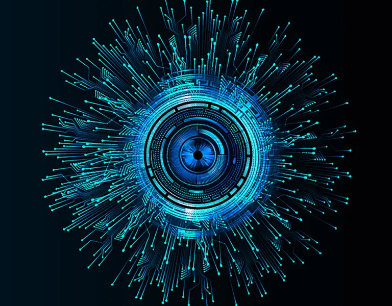 A Case History: the OSINT