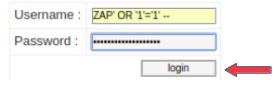 Web App Pentesting: guida completa all'assessment delle vulnerabilità delle web application
