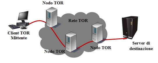 Esplorando Internet lungo i meandri del WEB