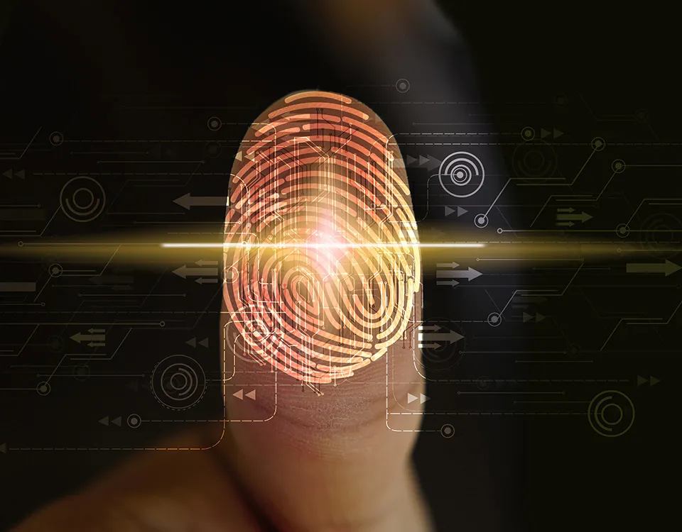 Infografica che illustra le principali novità del Decreto Semplificazioni 2020 in materia di digitalizzazione della PA, identità digitale e accesso ai servizi online.