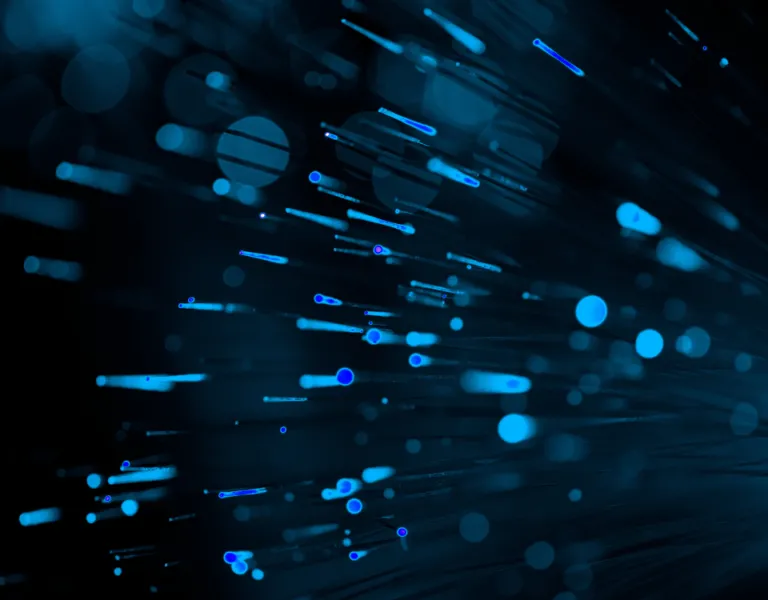 rischi della security by obscurity nella cybersecurity moderna con alternative raccomandate da NIST e OWASP
